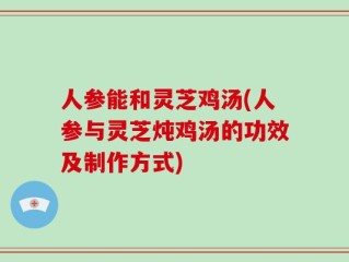 人参能和灵芝鸡汤(人参与灵芝炖鸡汤的功效及制作方式)