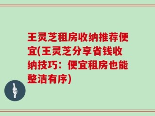 王灵芝租房收纳推荐便宜(王灵芝分享省钱收纳技巧：便宜租房也能整洁有序)