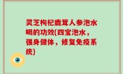 灵芝枸杞鹿茸人参泡水喝的功效(四宝泡水，强身健体，修复免疫系统)