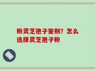 粉灵芝孢子鉴别？怎么选择灵芝孢子粉