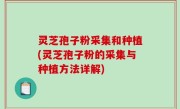 灵芝孢子粉采集和种植(灵芝孢子粉的采集与种植方法详解)