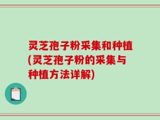 灵芝孢子粉采集和种植(灵芝孢子粉的采集与种植方法详解)