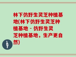林下仿野生灵芝种植基地(林下仿野生灵芝种植基地 - 仿野生灵芝种植基地，生产更自然)