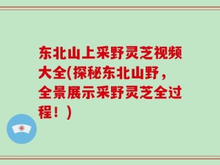 东北山上采野灵芝视频大全(探秘东北山野，全景展示采野灵芝全过程！)