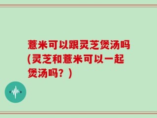 薏米可以跟灵芝煲汤吗(灵芝和薏米可以一起煲汤吗？)