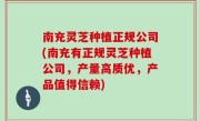 南充灵芝种植正规公司(南充有正规灵芝种植公司，产量高质优，产品值得信赖)