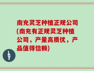 南充灵芝种植正规公司(南充有正规灵芝种植公司，产量高质优，产品值得信赖)