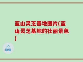 蓝山灵芝基地图片(蓝山灵芝基地的壮丽景色)