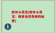 野外小灵芝(野外小灵芝：探索自然奇迹的秘密)