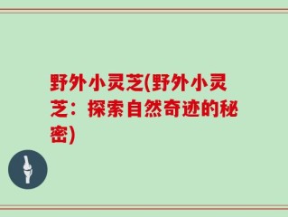 野外小灵芝(野外小灵芝：探索自然奇迹的秘密)