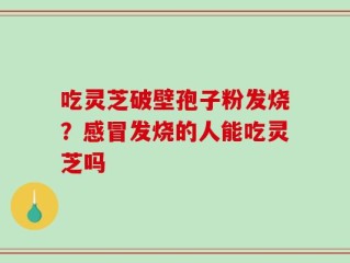 吃灵芝破壁孢子粉发烧？感冒发烧的人能吃灵芝吗