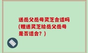 送岳父岳母灵芝合适吗(赠送灵芝给岳父岳母是否适合？)