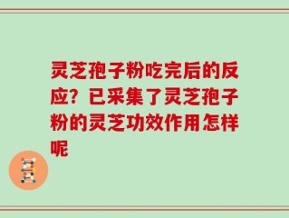 灵芝孢子粉吃完后的反应？已采集了灵芝孢子粉的灵芝功效作用怎样呢