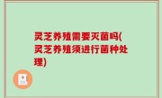 灵芝养殖需要灭菌吗(灵芝养殖须进行菌种处理)