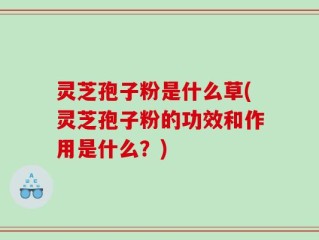 灵芝孢子粉是什么草(灵芝孢子粉的功效和作用是什么？)