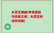 大灵芝模板(神奇蘑菇与抗癌之旅：大灵芝的功效详解)