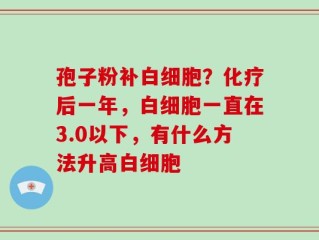 孢子粉补白细胞？化疗后一年，白细胞一直在3.0以下，有什么方法升高白细胞