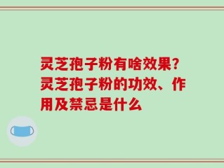 灵芝孢子粉有啥效果？灵芝孢子粉的功效、作用及禁忌是什么
