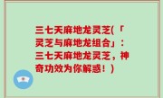 三七天麻地龙灵芝(「灵芝与麻地龙组合」：三七天麻地龙灵芝，神奇功效为你解惑！)