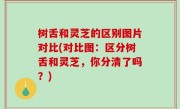 树舌和灵芝的区别图片对比(对比图：区分树舌和灵芝，你分清了吗？)