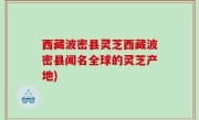 西藏波密县灵芝西藏波密县闻名全球的灵芝产地)