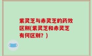 紫灵芝与赤灵芝的药效区别(紫灵芝和赤灵芝有何区别？)