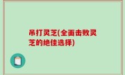 吊打灵芝(全面击败灵芝的绝佳选择)