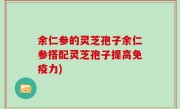 余仁参的灵芝孢子余仁参搭配灵芝孢子提高免疫力)