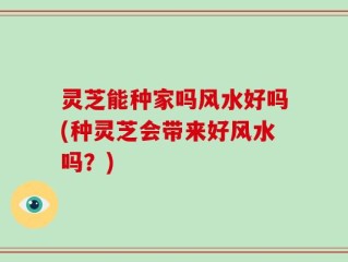 灵芝能种家吗风水好吗(种灵芝会带来好风水吗？)