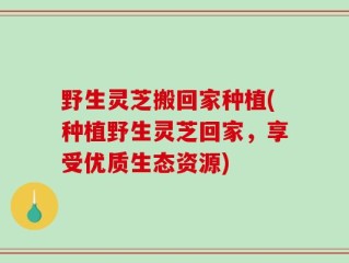 野生灵芝搬回家种植(种植野生灵芝回家，享受优质生态资源)