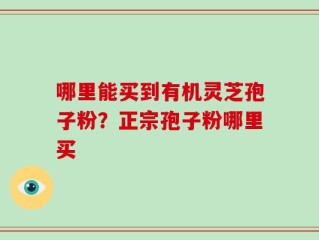 哪里能买到有机灵芝孢子粉？正宗孢子粉哪里买