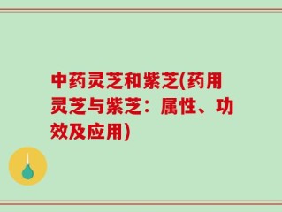 中药灵芝和紫芝(药用灵芝与紫芝：属性、功效及应用)
