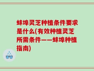 蚌埠灵芝种植条件要求是什么(有效种植灵芝所需条件——蚌埠种植指南)