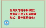 金贵灵芝孢子粉破壁(金贵灵芝孢子粉成破壁形式，营养更易吸收)