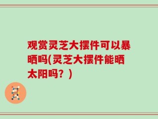 观赏灵芝大摆件可以暴晒吗(灵芝大摆件能晒太阳吗？)