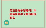 灵芝是孢子繁殖吗？牛肝菌是靠孢子繁殖后代的么