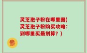 灵芝孢子粉在哪里图(灵芝孢子粉购买攻略：到哪里买最划算？)