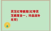 灵芝红枣鹿茸(红枣灵芝鹿茸合一，珍品滋补无穷)