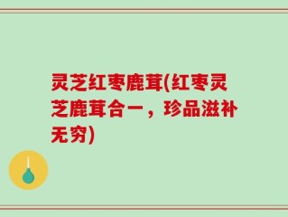 灵芝红枣鹿茸(红枣灵芝鹿茸合一，珍品滋补无穷)