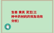 生姜 黄芪 灵芝(三种中药材的药效及功效分析)