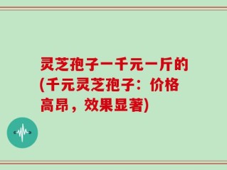 灵芝孢子一千元一斤的(千元灵芝孢子：价格高昂，效果显著)
