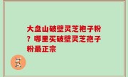 大盘山破壁灵芝袍子粉？哪里买破壁灵芝孢子粉最正宗