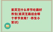 紫灵芝什么季节吃最好养生(紫灵芝最适合哪个季节食用？-养生小常识)