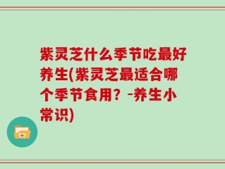 紫灵芝什么季节吃最好养生(紫灵芝最适合哪个季节食用？-养生小常识)