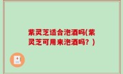 紫灵芝适合泡酒吗(紫灵芝可用来泡酒吗？)