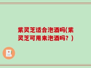 紫灵芝适合泡酒吗(紫灵芝可用来泡酒吗？)