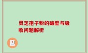 灵芝孢子粉的破壁与吸收问题解析