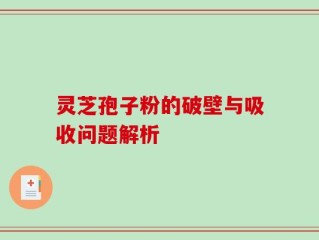 灵芝孢子粉的破壁与吸收问题解析