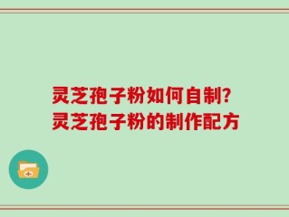 灵芝孢子粉如何自制？灵芝孢子粉的制作配方