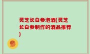 灵芝长白参泡酒(灵芝长白参制作的酒品推荐)
